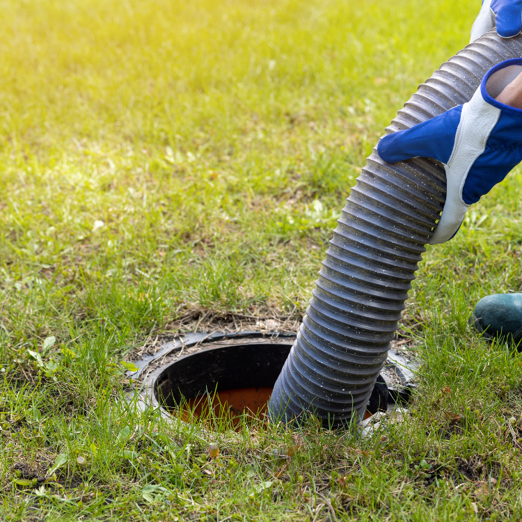 Landscaping in Shrewsbury, MA