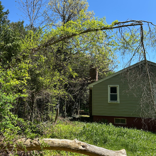 Landscaping in Shrewsbury, MA